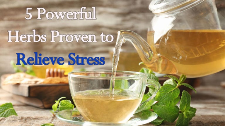 5 Powerful Herbs Proven to Relieve Stress - WomenWorking