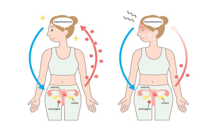 menopause-symptoms-shown-using-medical-animation-still-shot