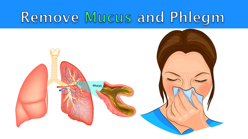 5 Ways to Mucus and Phlegm From The and Throat - WomenWorking