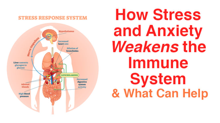 how-stress-and-anxiety-weakens-the-immune-system-what-can-help